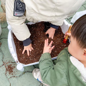 Maceta de Polipropileno de Gran Capacidad con Sistema de Riego Automático, Fabricada en Corea, Maceta con Riego Inferior Automático - Product Image 6