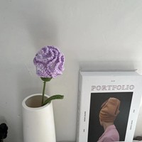 Oeillet fait à la main clou de girofle fleurs roses Dianthus caryophyllus fleurs au crochet en vrac pour la fête des mères professeur de Thanksgiving