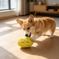 Ballon de rugby interactif pour chien, jouet à mâcher non toxique en TPR pour chiot, jouet durable pour le divertissement des animaux de compagnie