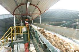 Séché résidus De Tapioca - Product Image 5