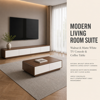 Meuble TV moderne minimaliste sur pied en bois massif pour petit salon, ensemble de meuble TV et table basse de luxe léger