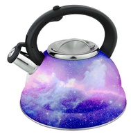 Bouilloire à thé sifflante en acier inoxydable de couleur domestique théière à eau avec poignée en nylon