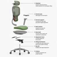 Chaise de bureau de direction ergonomique de luxe en maille colorée et réglable avec mousse moulée, mécanisme synchrone et accoudoirs 5D