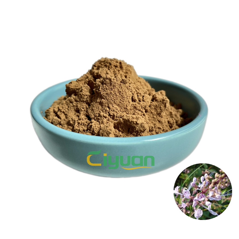Натуральный Экстракт Java Tea Orthosiphon Aristatus, экстракт Orthosiphon Stamineus