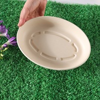Boîte à emporter jetable écologique compostable et micro-ondable en pulpe de bagasse biodégradable 32 oz pour pique-nique et déjeuner
