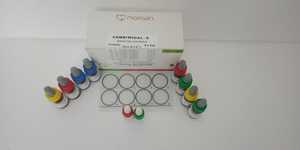 Fabricantes de Controles Positivos y Negativos del Antígeno Widal Febriile OH |   Exportaciones a Ghana-Nigeria-Camerún-Tanzania-Sudáfrica - Product Image 4