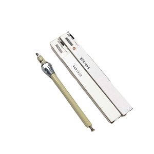 Electrodo de detección de encendido, sonda, enchufe de electrodo 108187 Detector Stock20 Maxon - Product Image 1