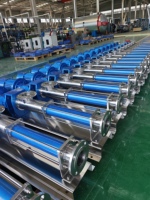 Pompe à vis simple/pompe à boue série Netzsch/Seepex/Mono, standard, qualité alimentaire, en acier inoxydable SS316, résistante à l'usure