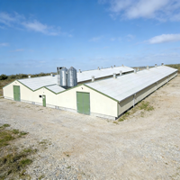 Bâtiments d'élevage en structure métallique préfabriquée moderne de haute qualité pour l'élevage de bovins
