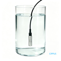 Capteur de niveau d'eau hydrostatique submersible 0-100m, précision 0,25%, sortie 4-20mA 0-10V, en acier inoxydable 316SS, pour la mesure du niveau de piscine
