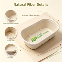 Contenants alimentaires jetables en bagasse de 28 oz, biodégradables, compostables, micro-ondables, sans PFAS, style classique, boîtes à lunch à emporter