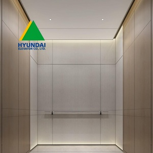 Ascensor Hyundai de 2 Pisos para Viviendas, Mini Elevador Residencial Interior Pequeño con Cabina, 200kg 350kg - Product Image 2