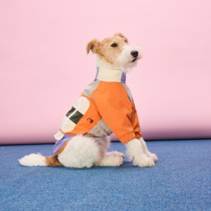 Fabricante de Ropa para Perros Personalizada OEM ODM, Chaqueta Impermeable, Antiinsectos y Antisuciedad para Perros <span class=keywords><strong>Basset</strong></span> <span class=keywords><strong>Hound</strong></span> - Product Image 3