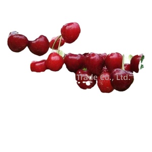 Semi all'ingrosso transfrontalieri per alberi da frutto: Uva, Gelso, Litchi, Frutto del Drago, Kiwi - Confezione sfusa per giardinaggio domestico e balcone - Product Image 5