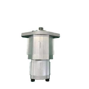 80308054 ปั๊มเกียร์ไฮดรอลิกคู่, XGM-G 80308054 ปั๊มไฮดรอลิก - Product Image 1