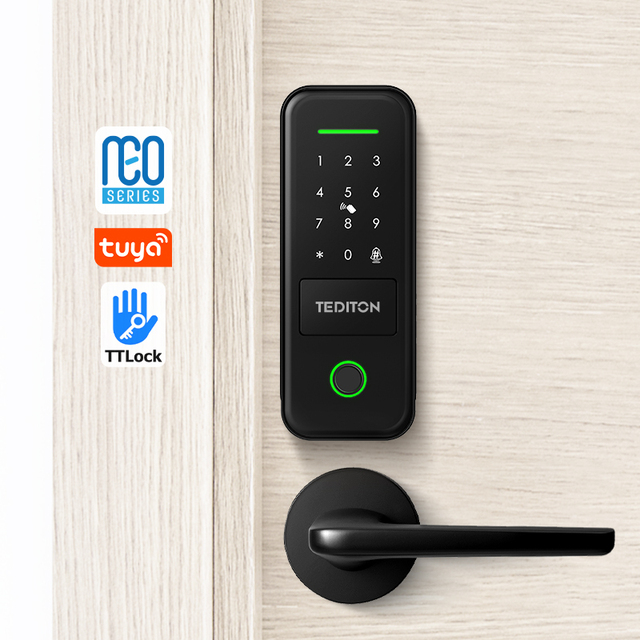 Waterproof Automatic Smart Security Door Digital Lock for Home Fingerprint Electric Tuya TTlock Smart Rim Door Lock