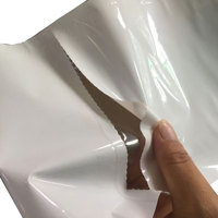 Sac en plastique automatique de rouleau d'emballage de LDPE pré-ouvert sur le rouleau pour la machine de conditionnement
