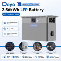 Batteries de stockage solaires portables Deye Deep Cycle tout-en-un au lithium-ion IP65 Lifepo4 avec garantie de 10 ans