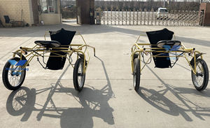 Carruaje de Caballos de Alta Calidad de 2 Ruedas, Carruaje Simple para Carreras de Caballos, Transporte Especial - Product Image 6