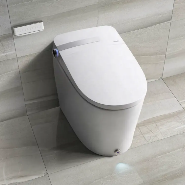 DA90 tek parça tuvalet banyo akıllı tuvalet akıllı otomatik akıllı klozet kapağı akıllı tuvalet koltuğu otomatik sıcak koltuk bide