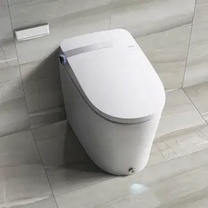 DA90 1 Piece Toilet Bathroom Smart Toilet Intelligent Auto Smart Bidet Seat Intelligent Toilet Seat Automatic Warm Seat Bidet