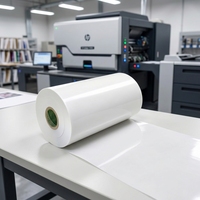 Papel Sintético Antirrayaduras de 56μm, Poliolefina PP Autoadhesiva, Original de Fábrica con 30 Años de Experiencia, Tamaño Personalizado, Informe Rohs Reach