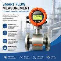 Mendukung OEM dan ODM Digital Electromagnetic Flow Meter dengan RS485 4-20mA untuk Pipa Pengolahan Air Limbah