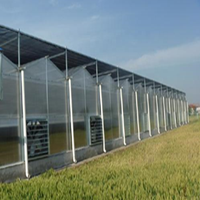 Feuille résistante en plastique Polycarbonate pour la construction, 50 pièces, résistante aux rayures, auvent de vélo, de toit