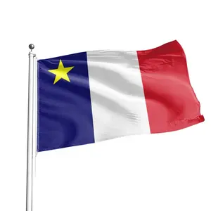 定制旗帜高品质航海标志阿卡迪亚旗帜旗帜与黄星-加拿大-阿卡迪亚旗帜