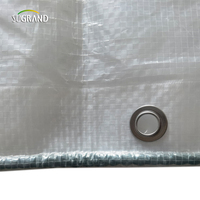 Bâche transparente pour vergers, couverture de cerises en HDPE + UV de 2x12m, bâche pour vergers du japon