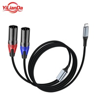 Kabel Audio USB Tipe C ke Dual XLR Male, Kabel Mikrofon Seimbang Tipe-C ke 2 XLR 3Pin untuk Ponsel Laptop Perekam Mixer Amplifier