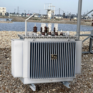 Transformador Eléctrico Sumergido en Aceite de 1250Kva, 24940V a 416V/415V, 60Hz, para Amplificador de Potencia de 1000W - Product Image 1