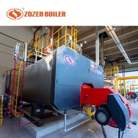 Caldera de Gas WNS de 8 Toneladas ZOZEN Ultra Baja en NOx para la Industria del Tabaco y las Cigarrillas
