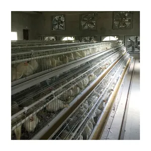 热销优质200家禽3层或4层肉鸡鸡笼饲养系统