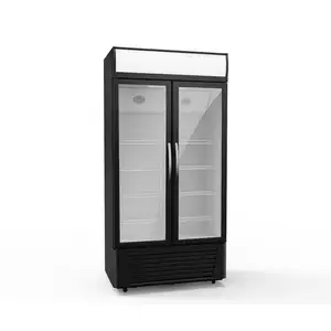 Fujin — réfrigérateur avec porte en verre Double, boîte à lumière, produit d'usine, vente en gros