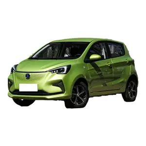 Changan Benben E-star 2023 auto elettrica 100 km/h auto familiare sfuso al dettaglio/all'ingrosso