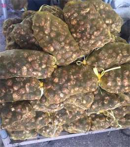 Neue Ernte Frische <span class=keywords><strong>Taro</strong></span> Fabrik Niedriger Preis <span class=keywords><strong>Taro</strong></span> Hohe Qualität Export <span class=keywords><strong>Taro</strong></span> - Product Image 5