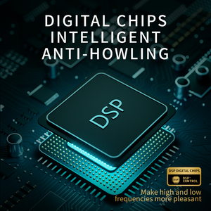 Loa <span class=keywords><strong>Bluetooth</strong></span> tùy chỉnh cho tiệc tùng trong nhà và ngoài trời, máy nghe nhạc di động, loa không dây có micro - Product Image 4