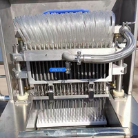 Nouvelle machine à injecter la viande en acier inoxydable 304, robuste, à vitesse réglable, machine automatique d'injection de saumure, grande capacité pour la viande