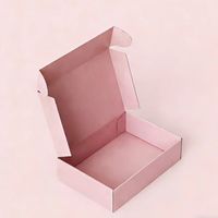 Individuell Bedruckte, Umweltfreundliche und Recycelbare Rosa Flugzeug-Schachteln, Ideal für die Verpackung Kleiner Geschenke und Alltagsgegenstände