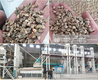 Machine complète de nettoyage de décortiqueuse de grains de café arabica robusta