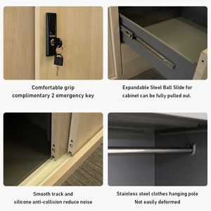 Armoire double en acier <span class=keywords><strong>à</strong></span> finition imitation bois, avec miroir imprimé et portes coulissantes, personnalisable, vente en gros <span class=keywords><strong>à</strong></span> prix abordable - Product Image 4