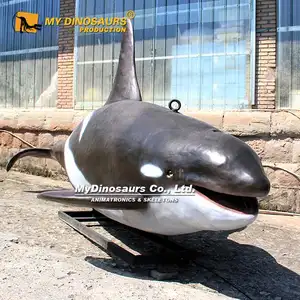 내 디노 AA1109 실물 크기 바다 동물 애니메이션 범고래 오르카