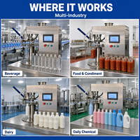 Machine de remplissage de bouteilles de petite taille, machine de remplissage automatique de bouteilles, ligne de production d'eau en bouteille de 100 ml à 500 ml, Dayilong