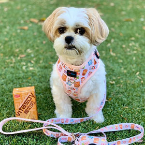 Lot de harnais de luxe pour chien Puppuccino Harnais réglable pour animaux de compagnie Kawaii Coffee avec laisse, collier, nœud papillon, bandana et porte-sac à <span class=keywords><strong>caca</strong></span> - Product Image 2