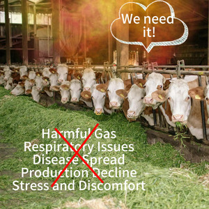 Công Nghiệp Năng Lượng Mặt Trời Nhiệt Tường Xả DC Điện Hiện Thông Gió Fan Cho Gia Cầm Trang Trại Kho Bóng Mang Cho Gia Cầm Nhà - Product Image 5