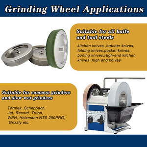 250mm 10 pouces <span class=keywords><strong>couteau</strong></span> professionnel roue d'affûtage T7 T8 banc meuleuse Cbn roue électrolytique CBN meule - Product Image 5