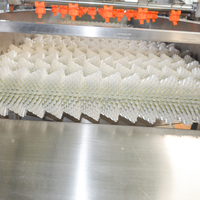 304 Roestvrijstalen Jujube Diverse 300Kg Fruit Groente Wassen Verwerking Hogedruk Spray Roller Reinigingsmachine