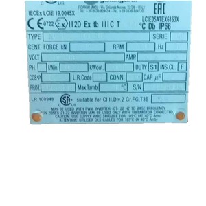 มอเตอร์อุตสาหกรรม Italvibras รุ่น M3/20-S02 ขนาดหน้าแปลน 150 มม. ป้องกันการระเบิด สามเฟส 230/400V 3000 รอบต่อนาที สีส้ม - Product Image 3