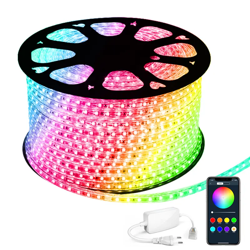 Outdoor 5050 Flexible LED Strip Light Remote App Garden Rope Lighting Decoration Dimmable Multi Color Changing LED Rope Lights